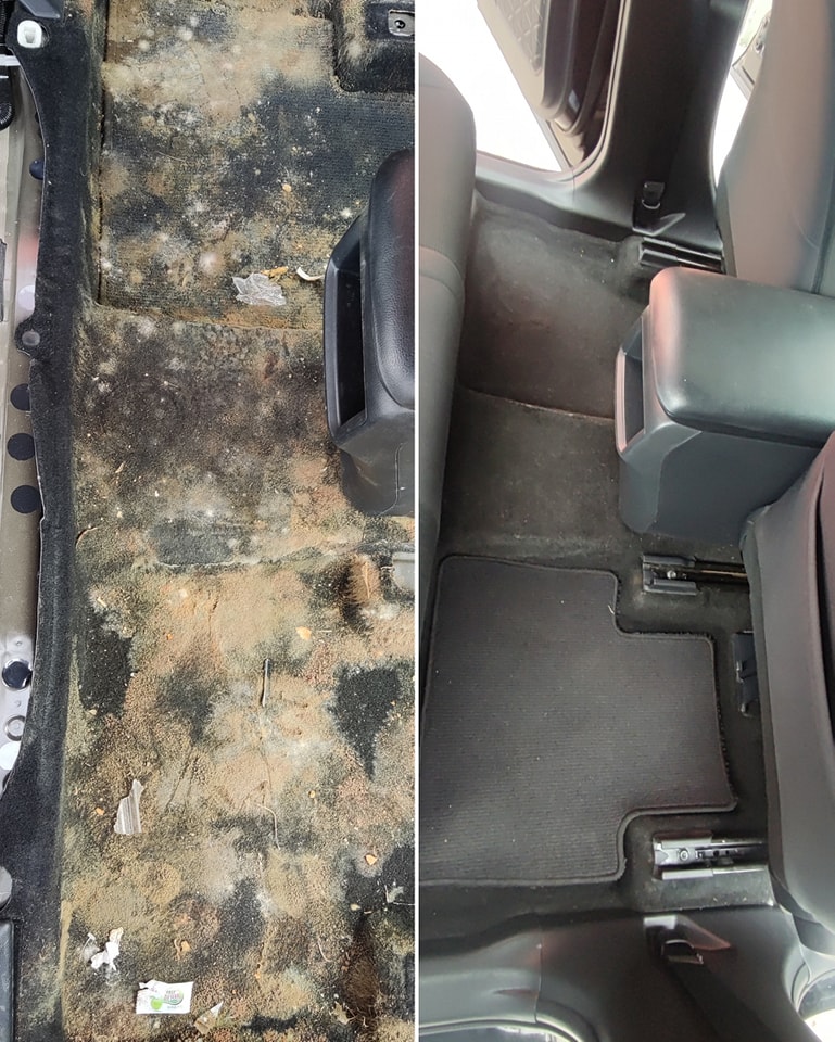 Pro Detailing Gallery Image