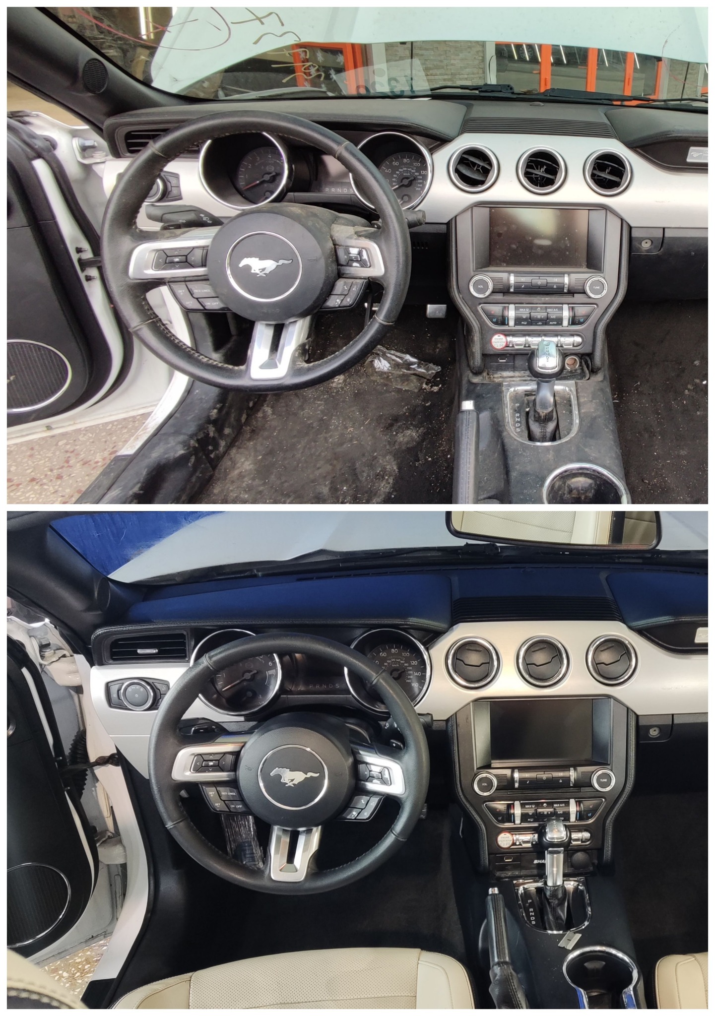 Pro Detailing Gallery Image